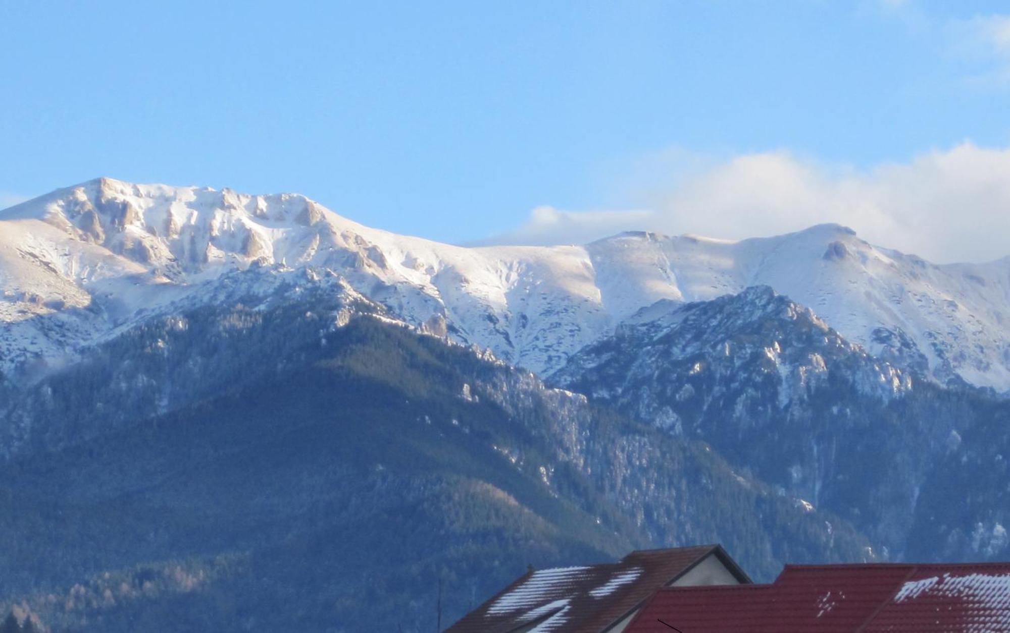 Pensiunea Ando Bran  Buitenkant foto