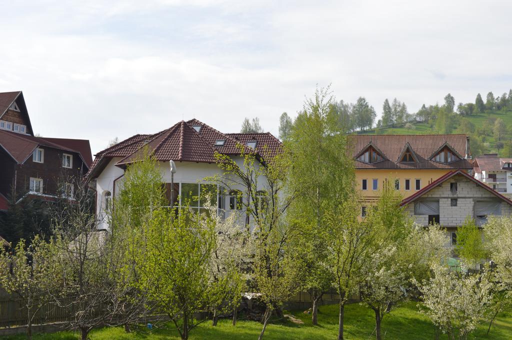 Pensiunea Ando Bran  Buitenkant foto