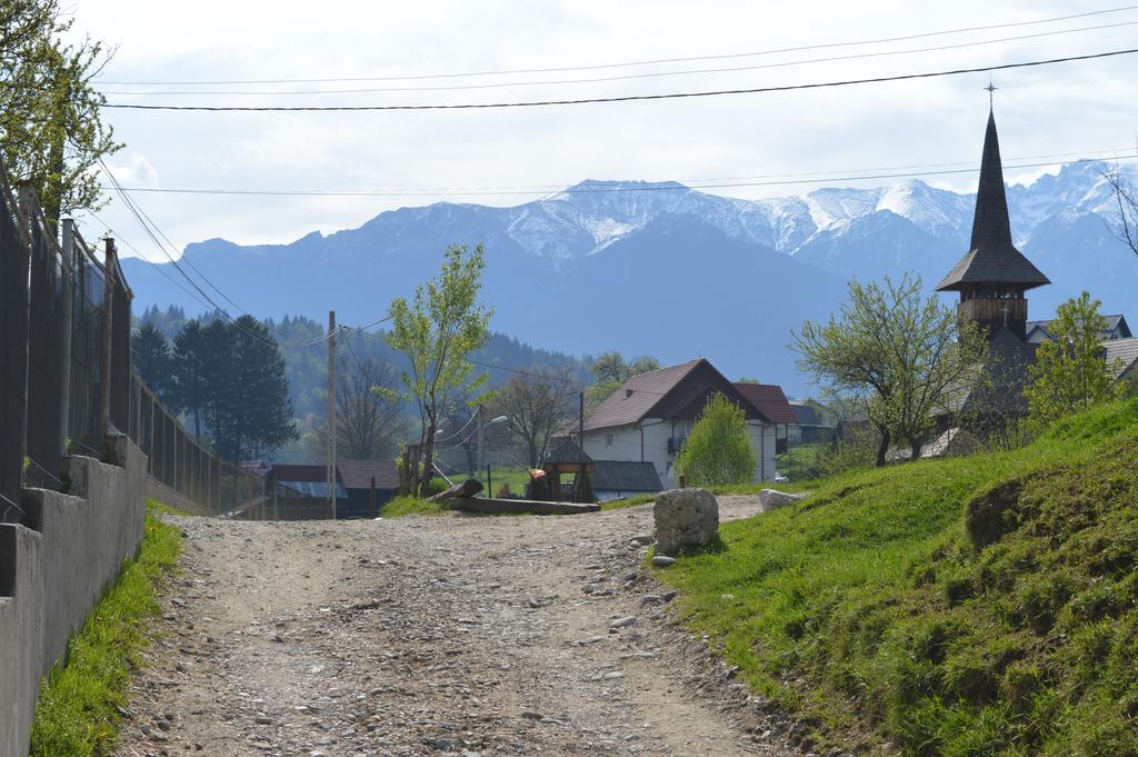 Pensiunea Ando Bran  Buitenkant foto