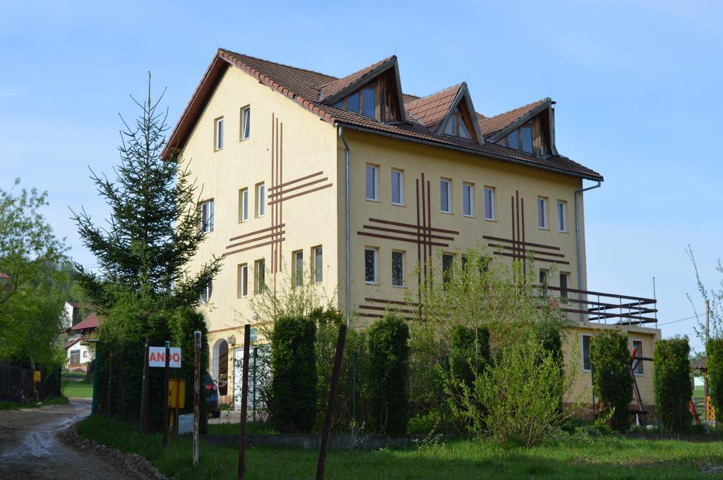 Pensiunea Ando Bran  Buitenkant foto