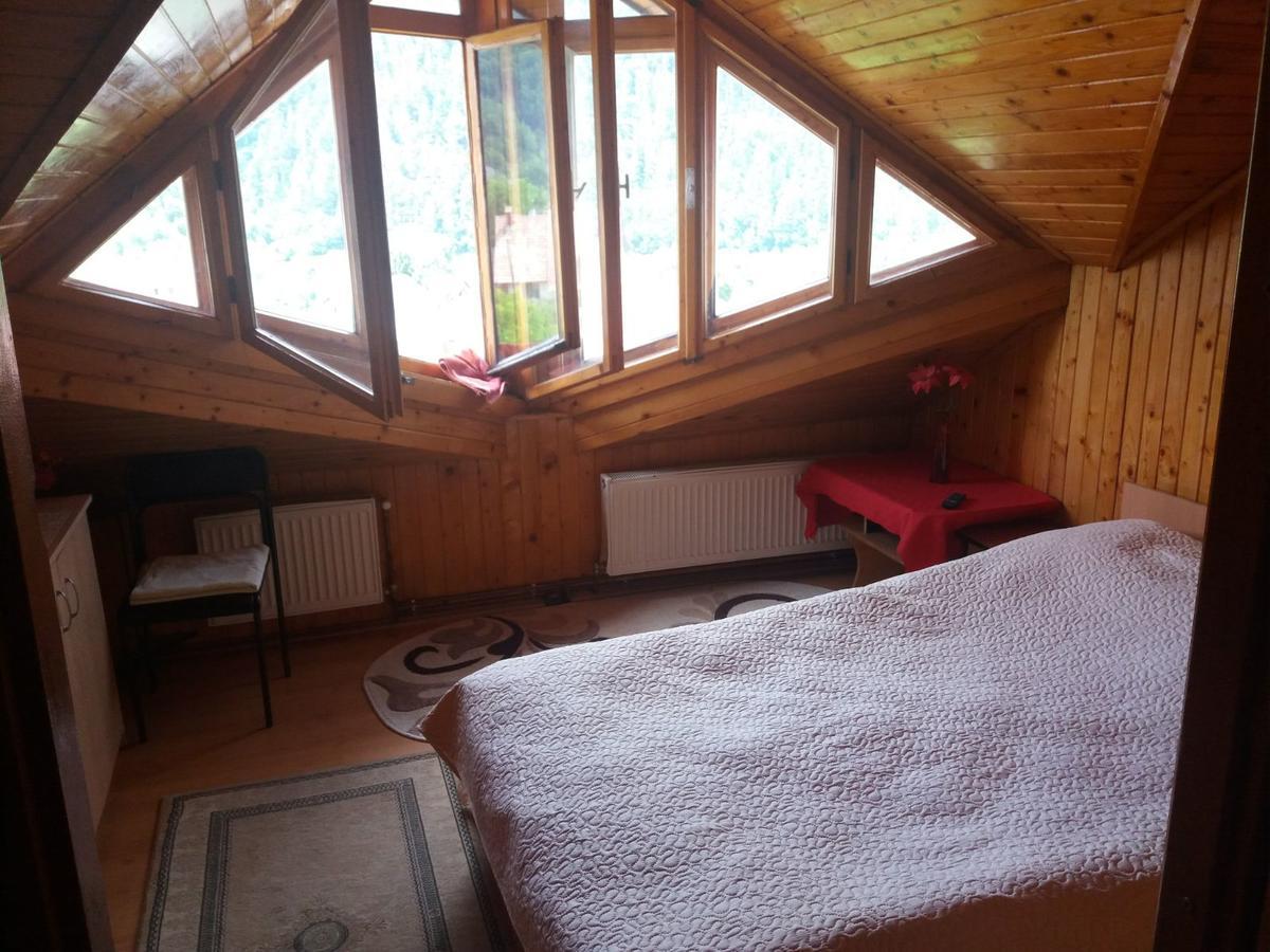 Pensiunea Ando Bran  Buitenkant foto