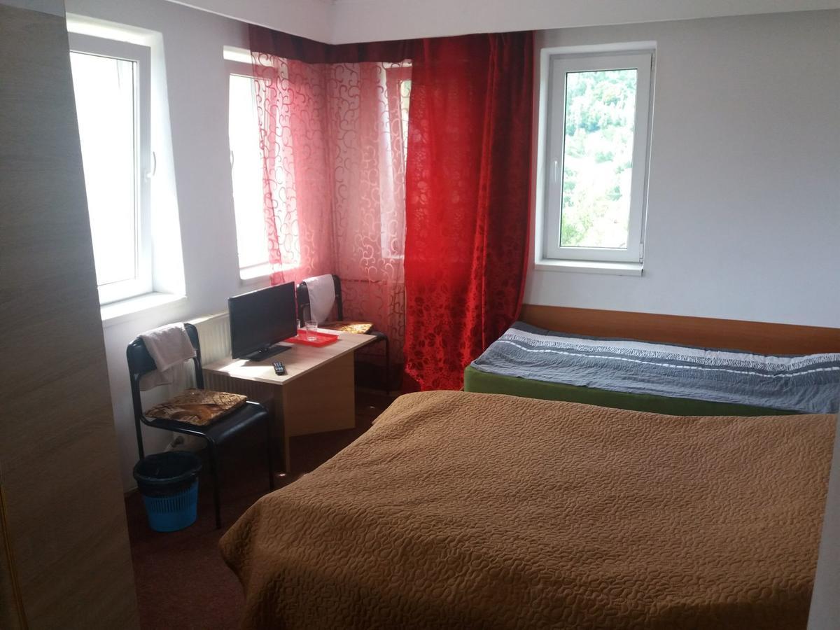 Pensiunea Ando Bran  Buitenkant foto