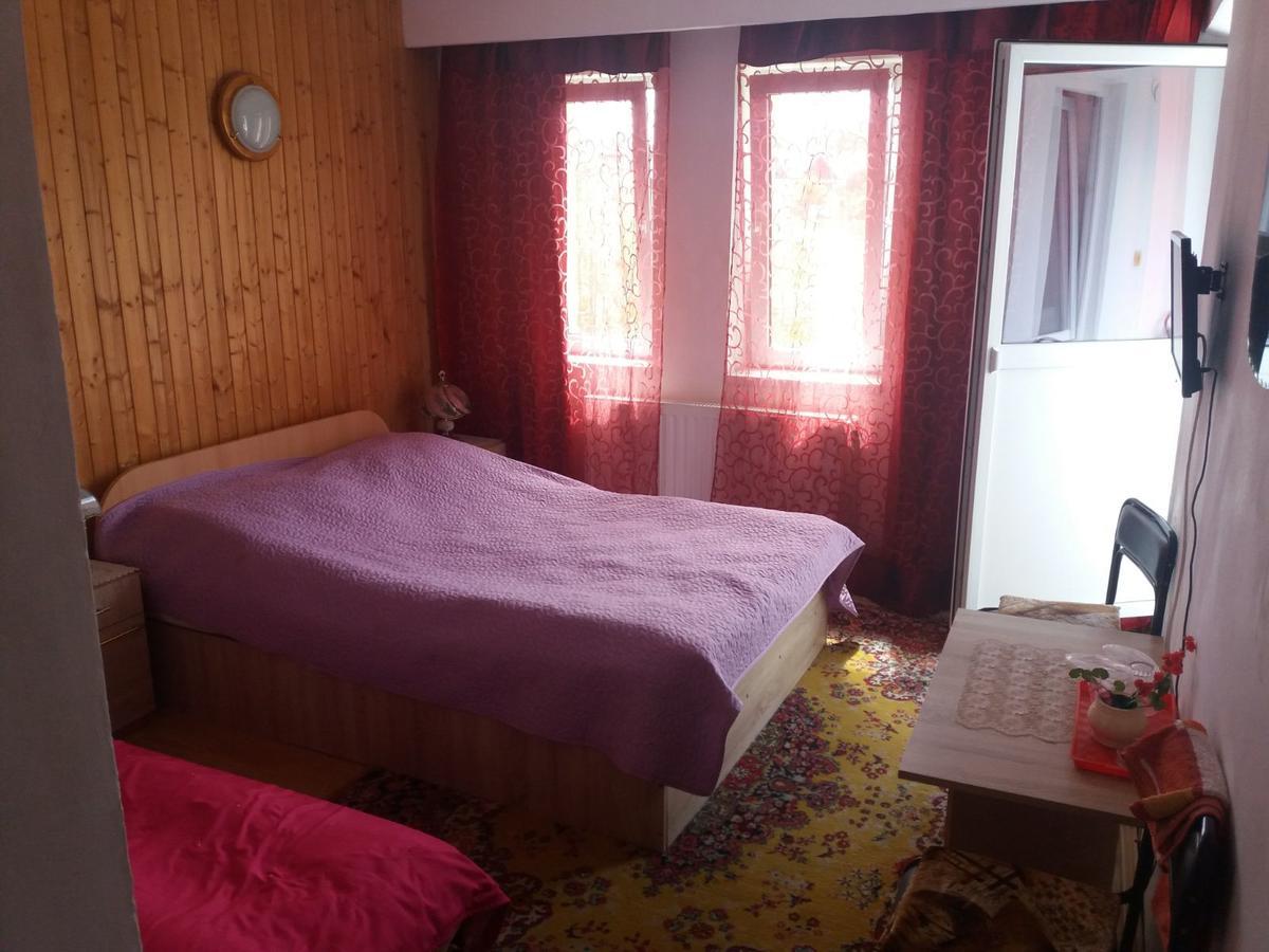 Pensiunea Ando Bran  Buitenkant foto